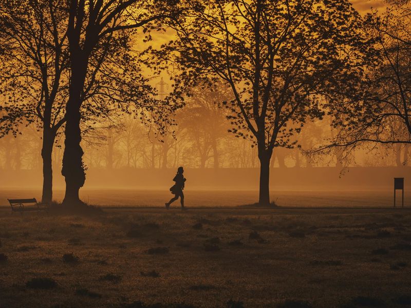 Person running in the morning park during sunrise.